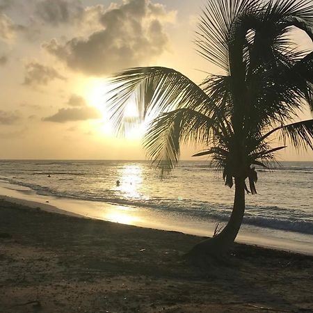 Studio Tahiti Vue Mer Saint-Francois  Ngoại thất bức ảnh