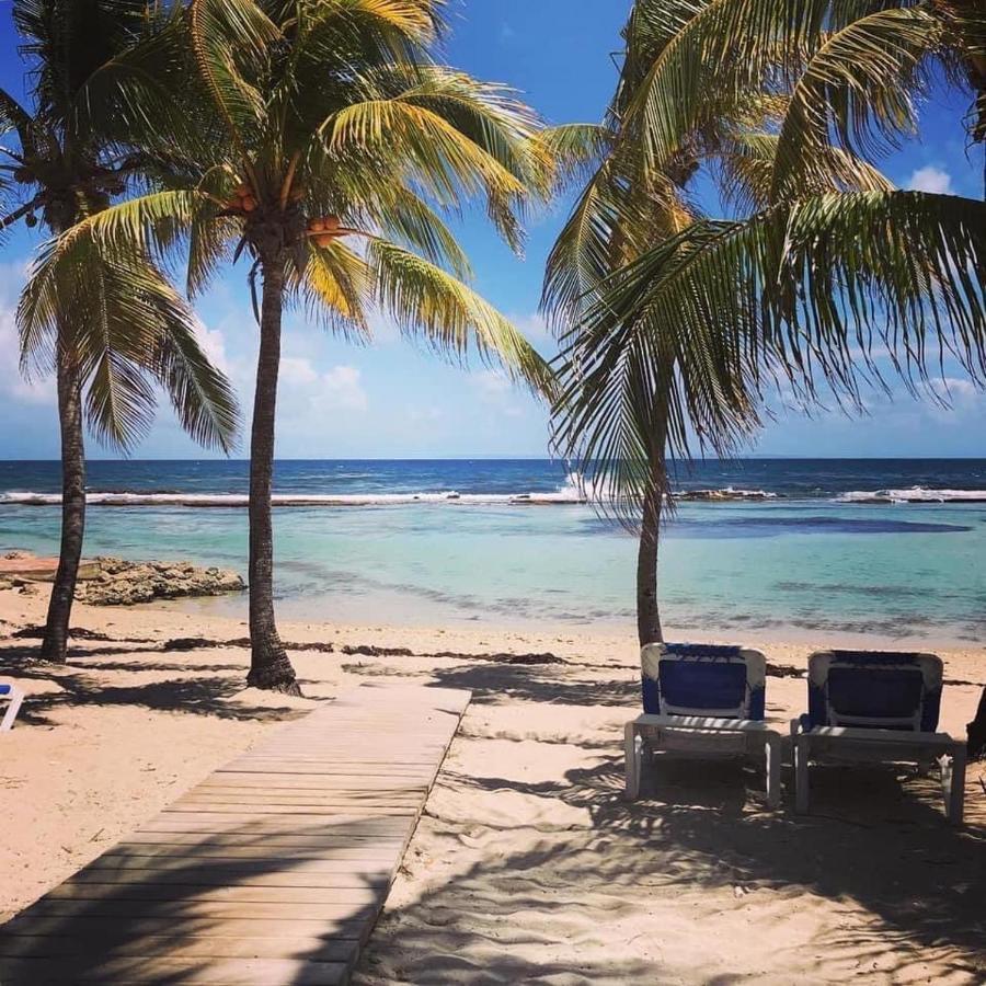 Studio Tahiti Vue Mer Saint-Francois  Ngoại thất bức ảnh