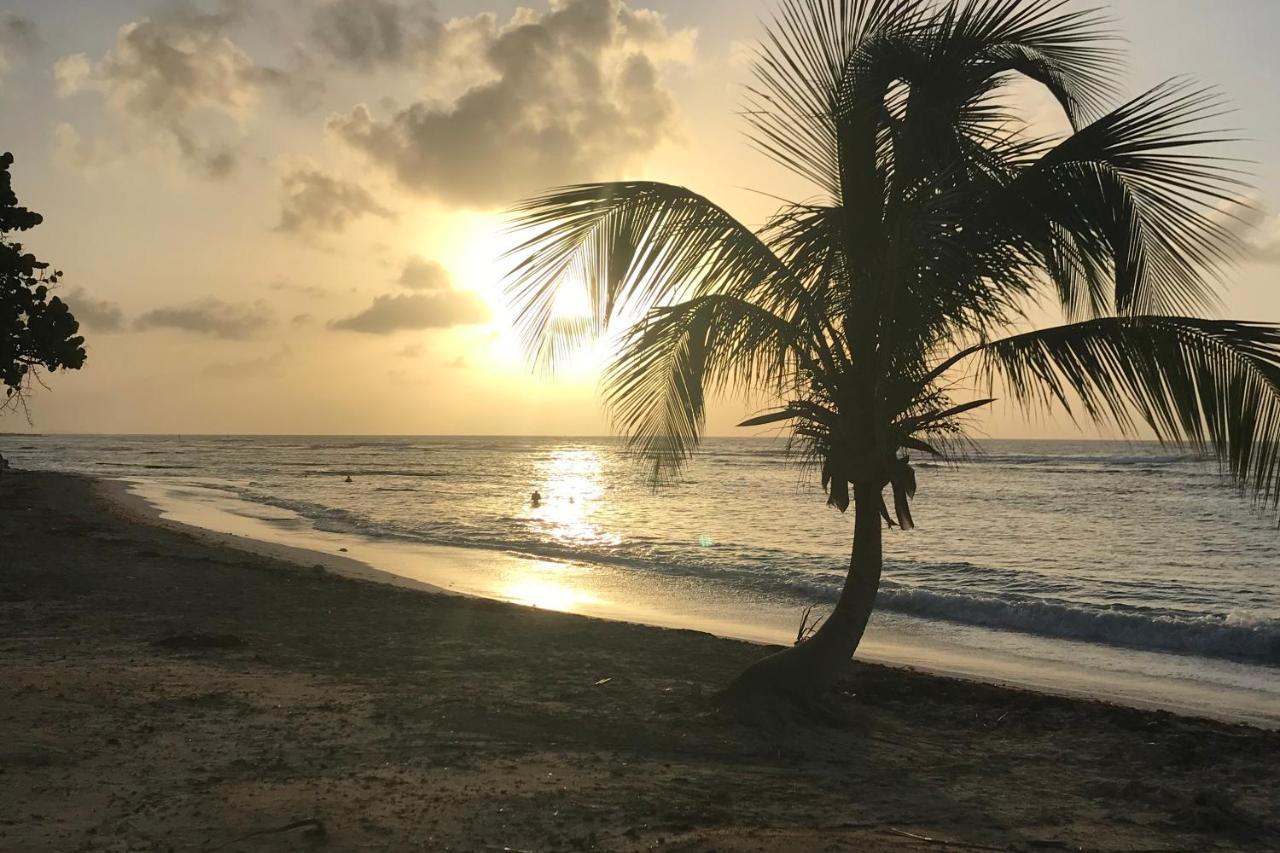 Studio Tahiti Vue Mer Saint-Francois  Ngoại thất bức ảnh